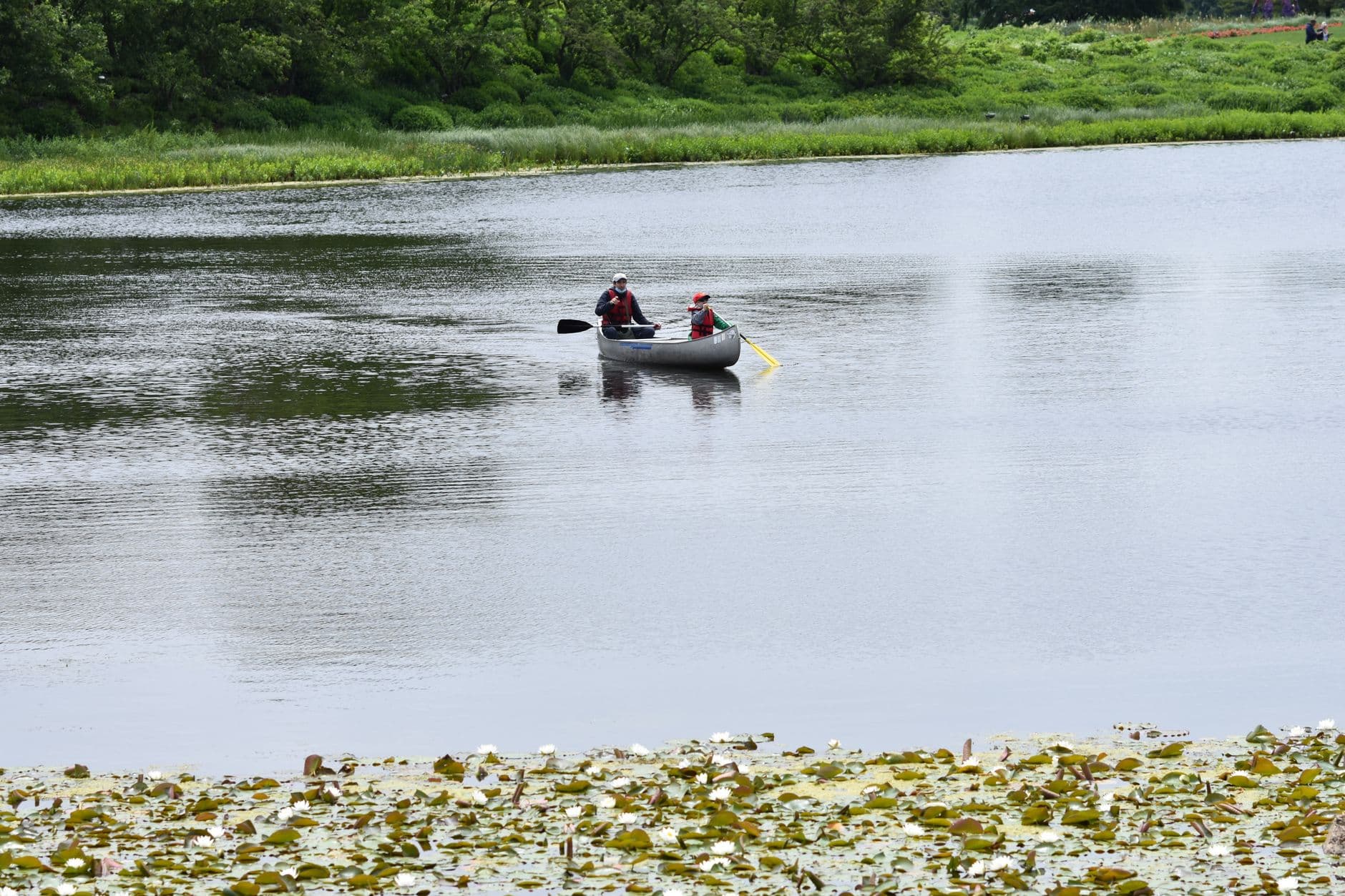 Canoe paddle creek