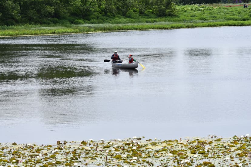 Canoe paddle creek