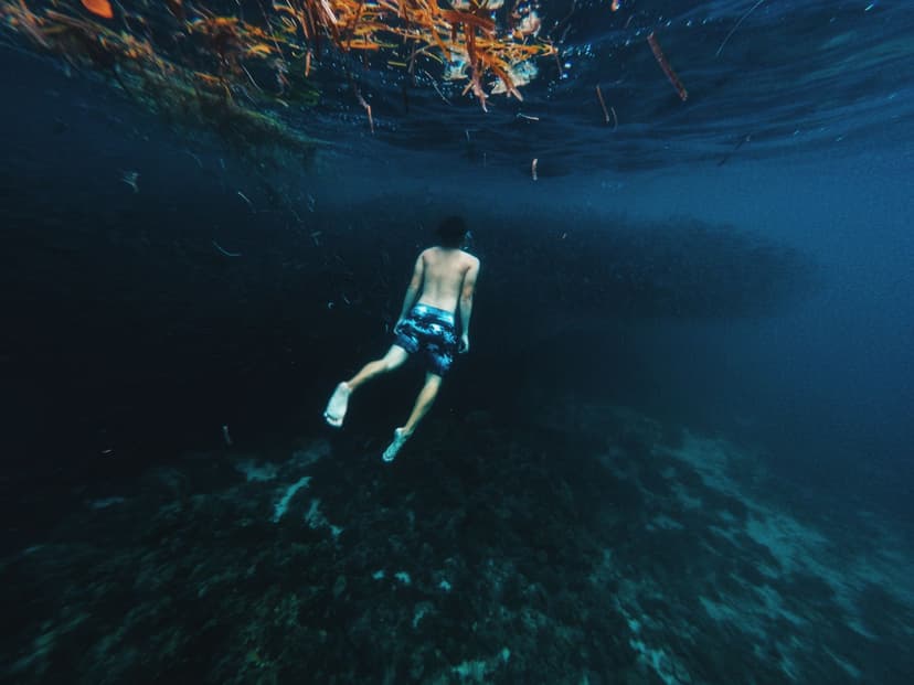 Person swimming ocean