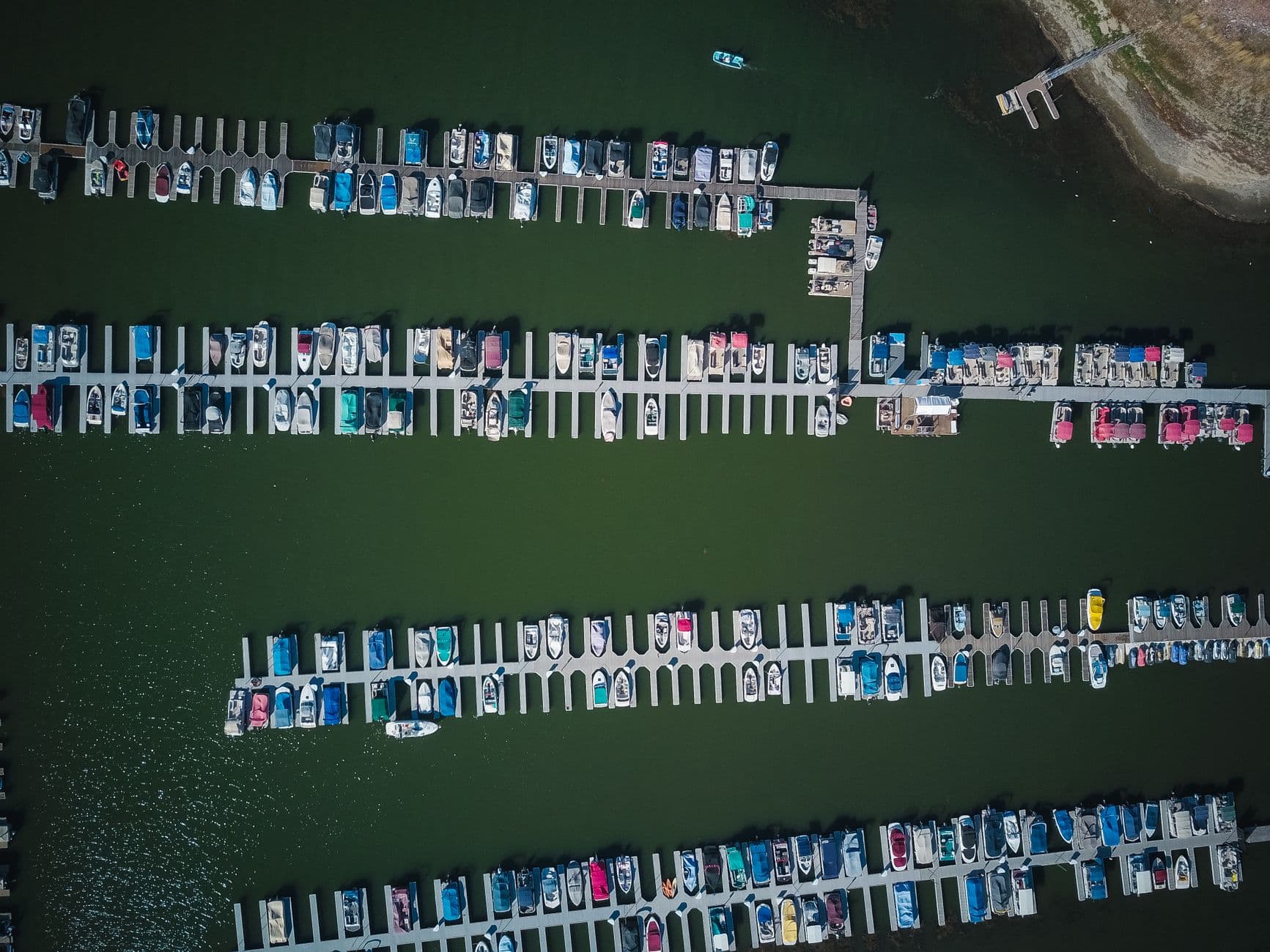 Boats lined up marina