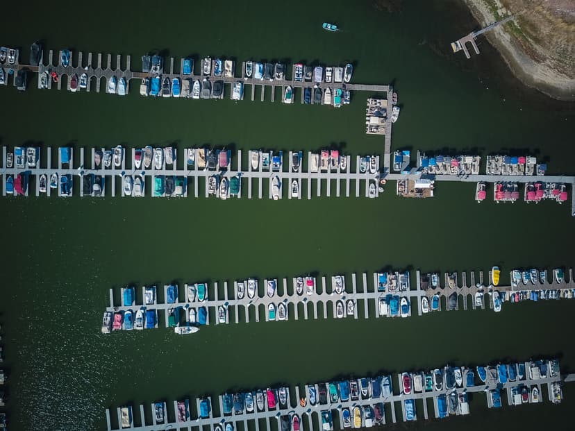 Boats lined up marina